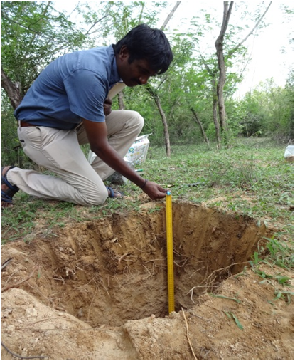 Assessment of soil carbon stock